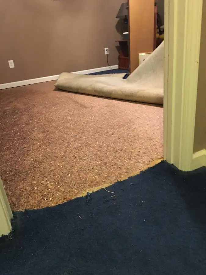 Carpet pad removal revealing water damage during Drying & Dehumidification in Woodbury