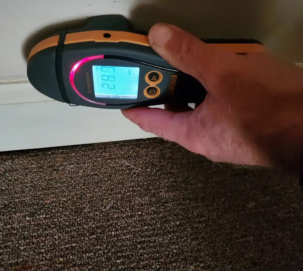 Moisture detection at baseboard during Mold Inspection & Testing in Woodbury